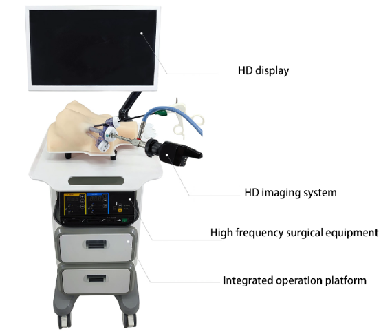 Thyroid and breast Integrated simulator HFM-8950