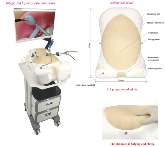 Laparoscopic Abdominal simulator HFM-8968