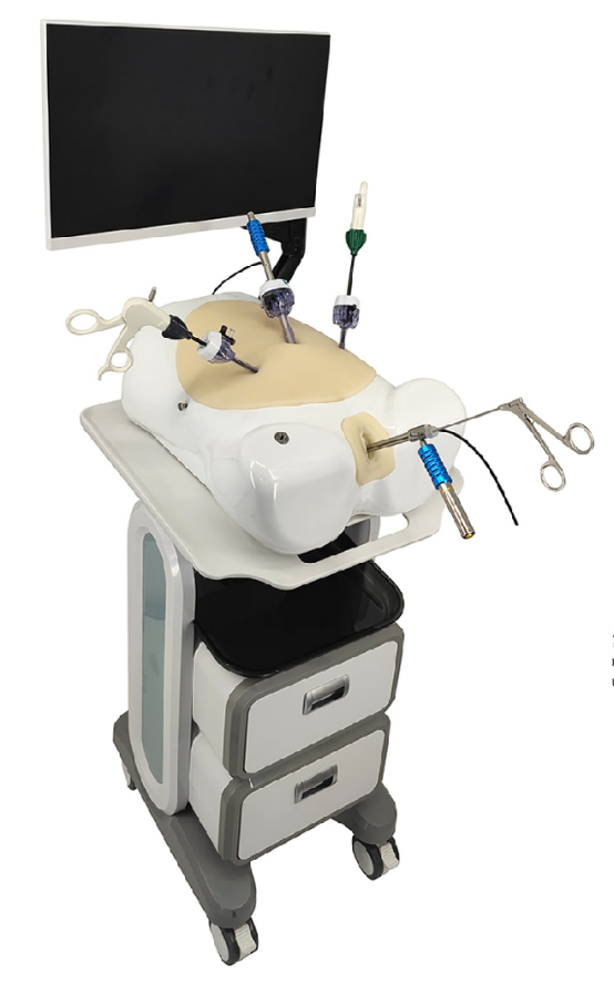 Hysteroscopy & Laparoscopy Simulator HFM-8355