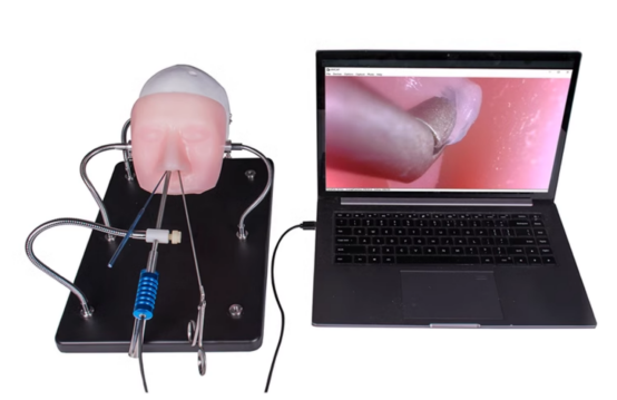 Neuroendoscopy Simulator HFM-8610