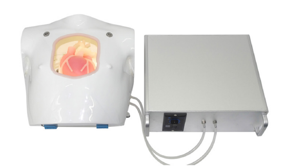 Heart Bypass Surgery Training Simulator HFM-8851