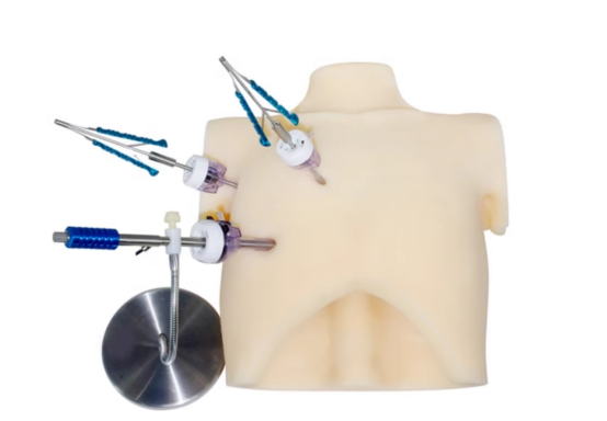 Thoracoscopic training simulator HFM-8855