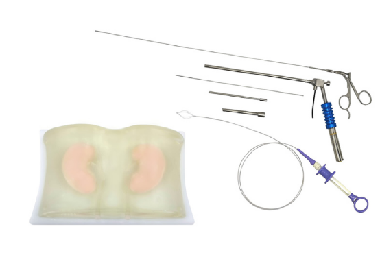 Percutaneous nephroscope training simulator HFM-8708