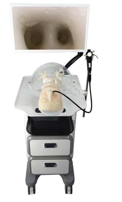 Bronchoscopic training simulator HFM-8879