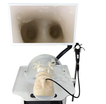 Bronchoscopic training simulator HFM-8879