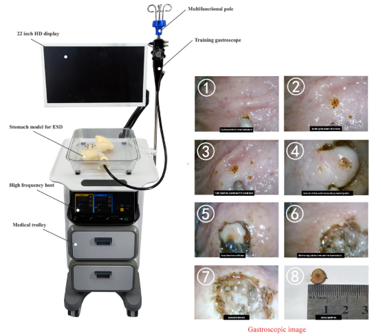 Integrated training simulator(ESD) HFM-8510