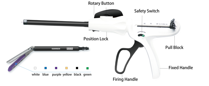 Endoscopic Linear Cutter Stapler